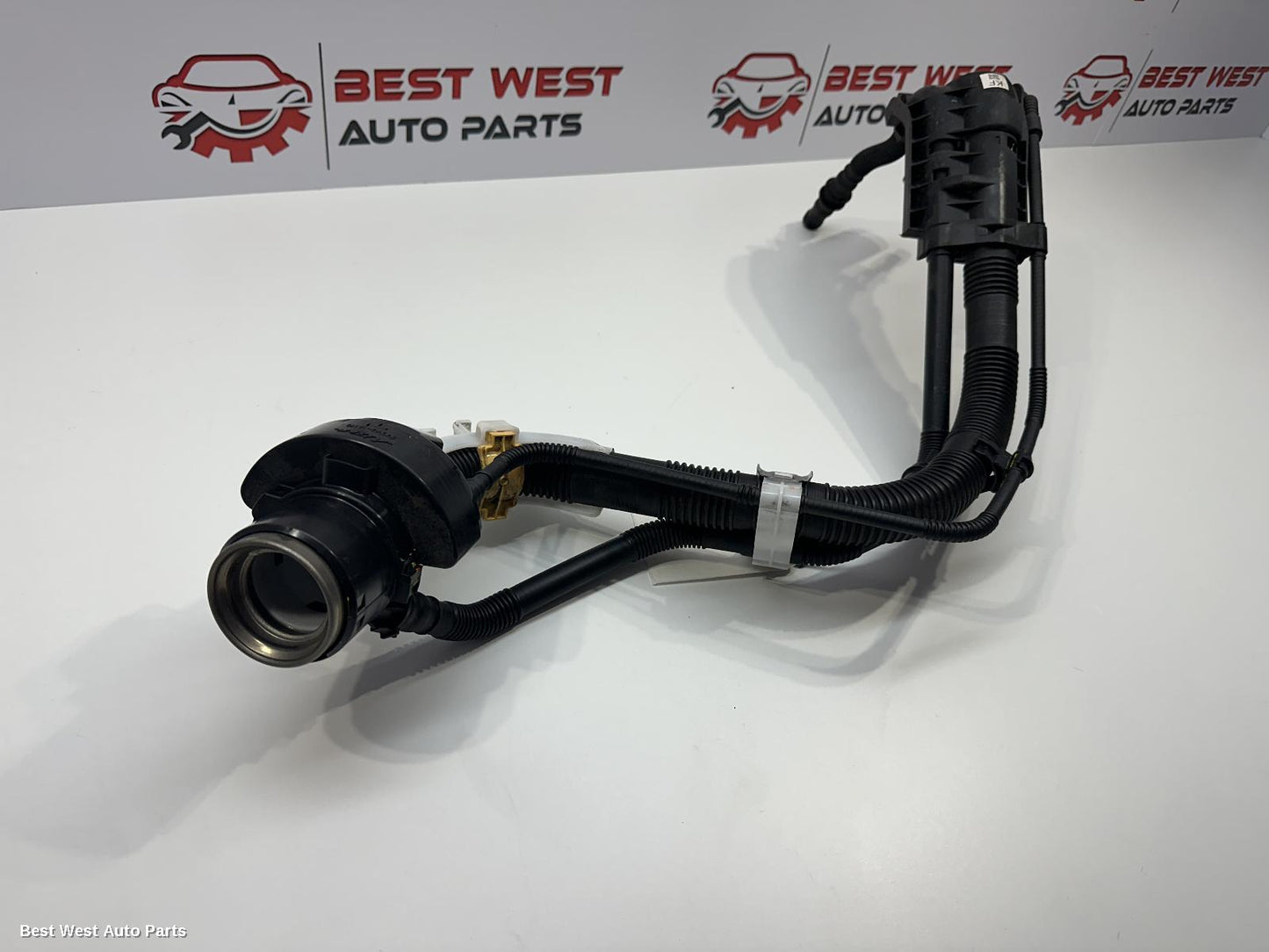 2022 TOYOTA COROLLA Fuel Door / Filler