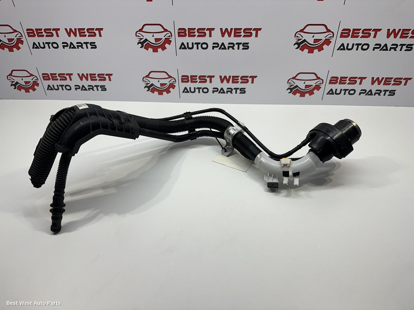 2022 TOYOTA COROLLA Fuel Door / Filler