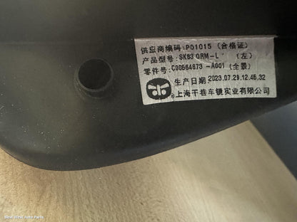 2023 LDV T60 Left Door Mirror