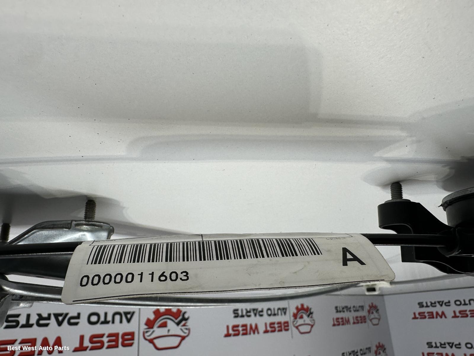 2024 TOYOTA RAV4 Right Front Window Reg/Motor
