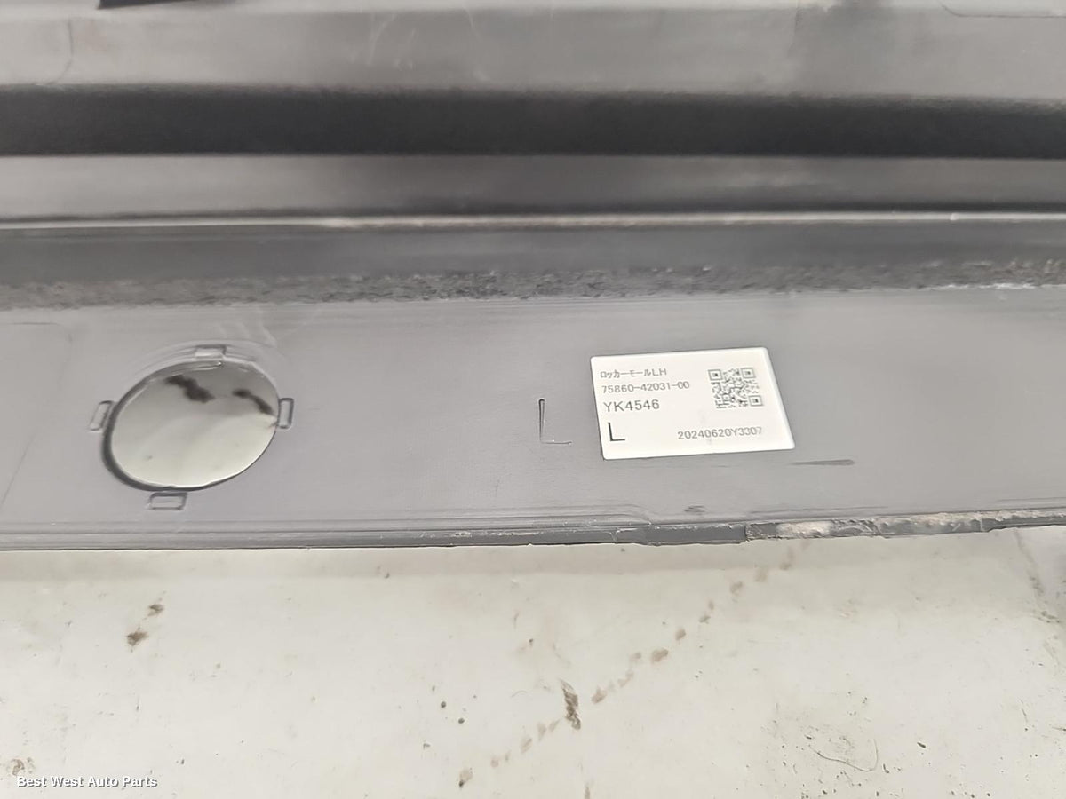 2024 TOYOTA RAV4 Side Step/Skirt