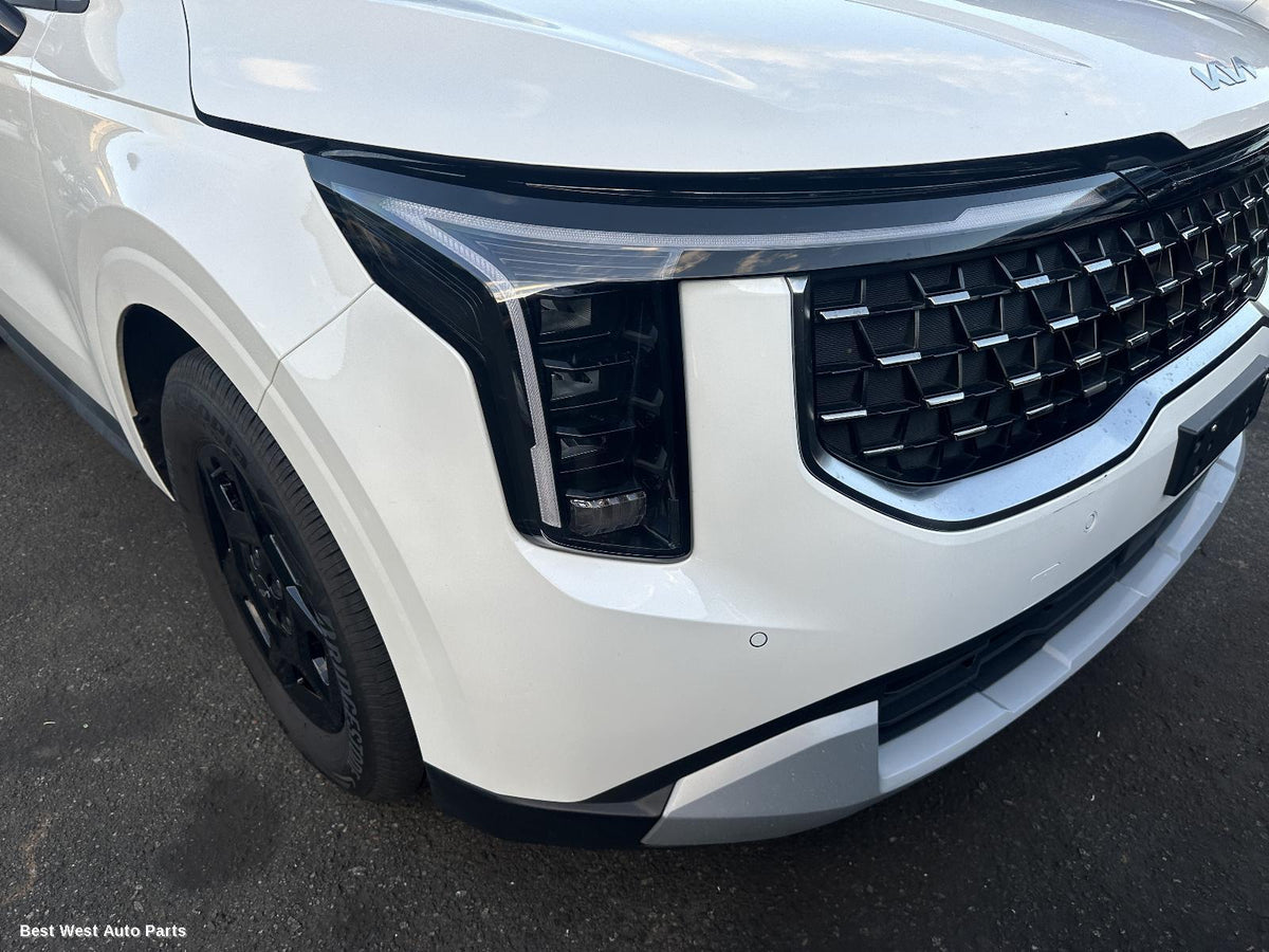 2025 KIA CARNIVAL/GRAND CARNIVAL Courtesy Light