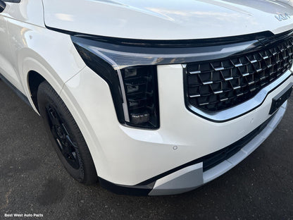 2025 KIA CARNIVAL/GRAND CARNIVAL Courtesy Light